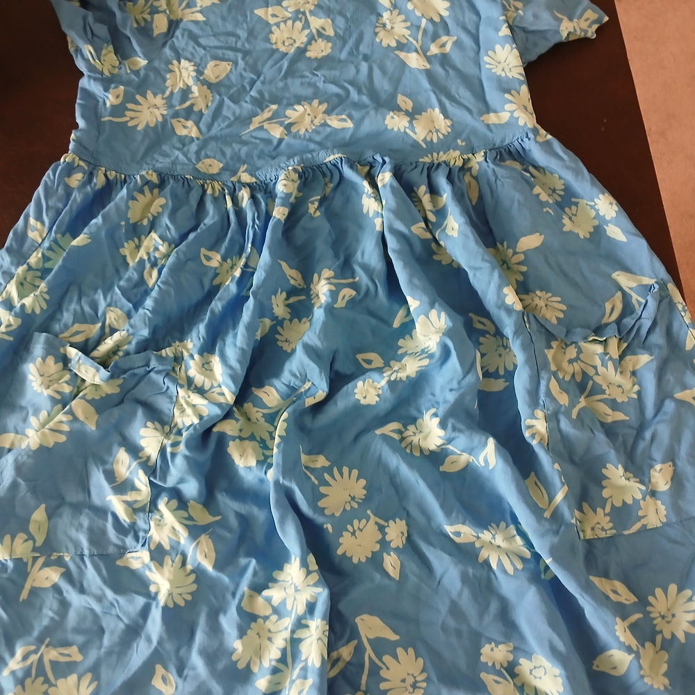 Coldwater Creek Blue Floral Maxi Dress